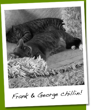 Frank & George chillin!